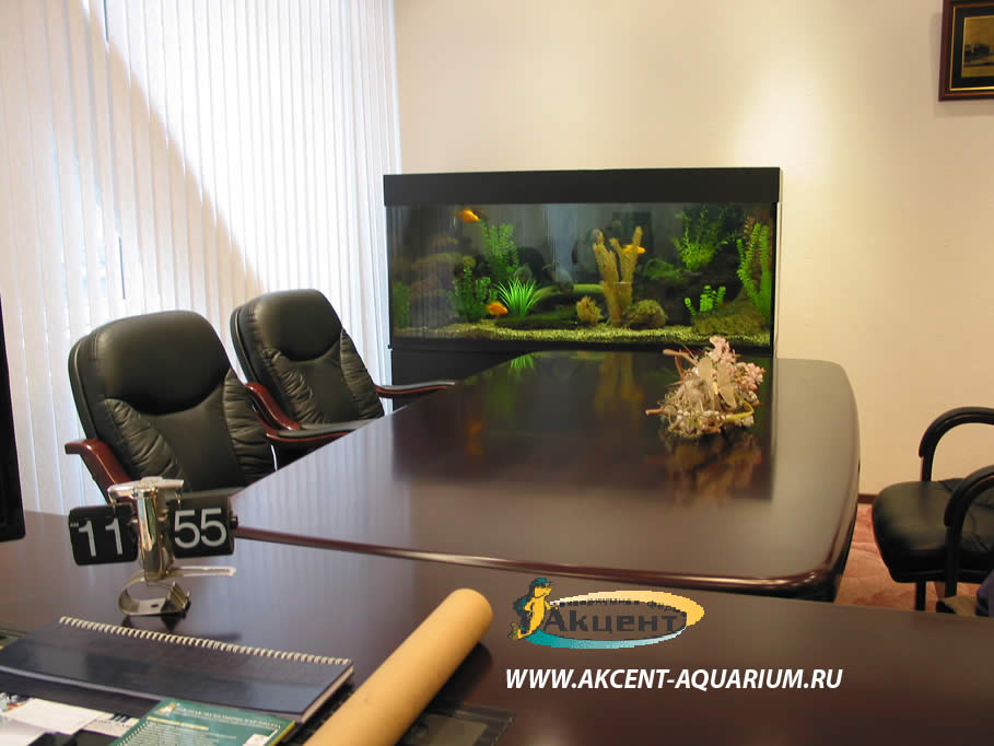 Акцент-аквариум,аквариум 400 литров прямоугольный,кабинет